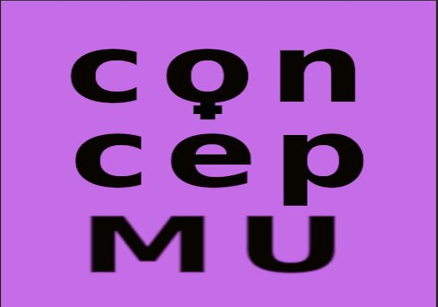 ConcepMU VIII